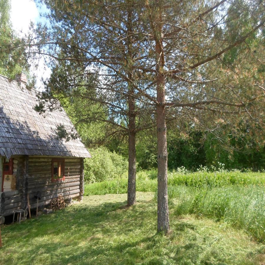 Campsite Paehnamaee Metsamajake Ruusmae