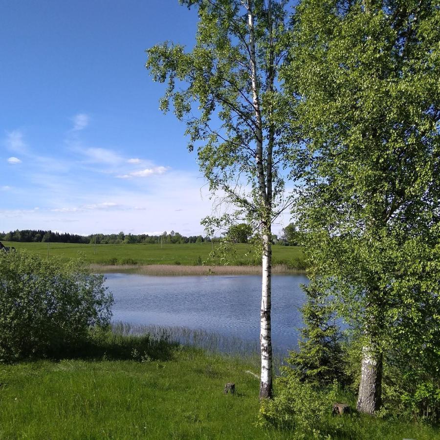 Campsite Paehnamaee Metsamajake Ruusmae